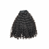 Wavy Curly Seamless Clip-Ins